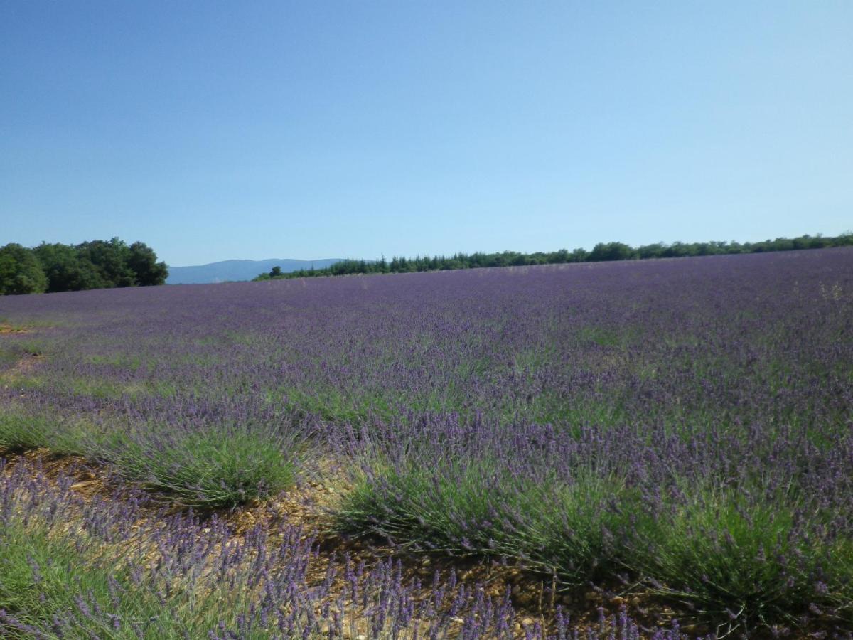 La Mordoree La Motte-d'Aigues Buitenkant foto