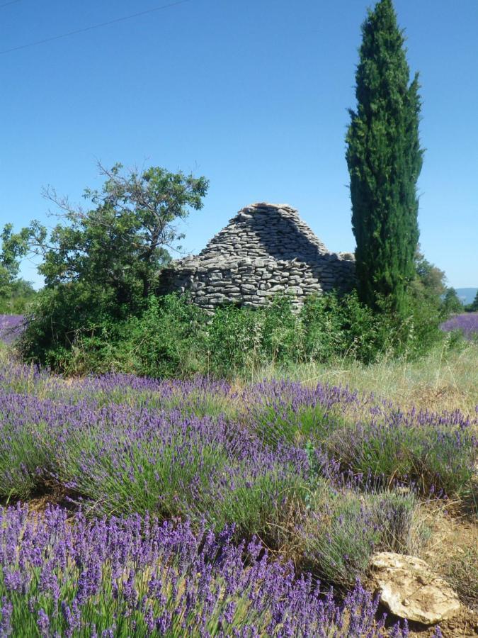 La Mordoree La Motte-d'Aigues Buitenkant foto